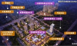 珠三角汽车电子商务中心（珠三角汽车产业）