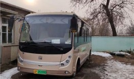 商务电动汽车十大排名（商务纯电动汽车）
