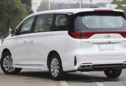 百万汽车商务车有哪些车（百万商务车什么牌子好）