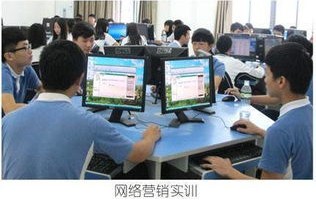 电子商务专业从哪找工作