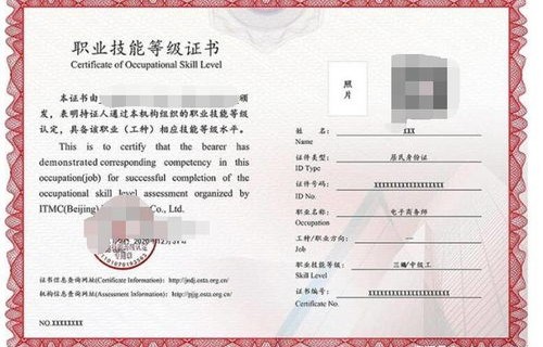 报电子商务专业有何条件
