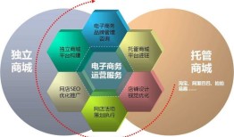 汽车电子商务是干什么的（汽车电子商务是干什么的呢）