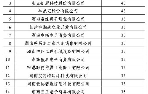 专业电子商务收费标准表