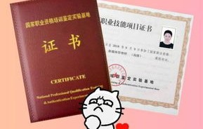 电子商务专业的可以报考的证书