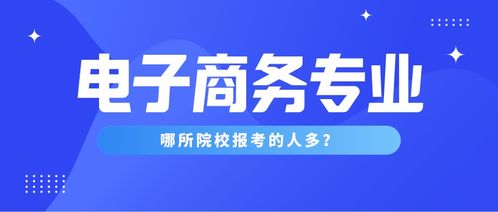 电子商务专业大类包括