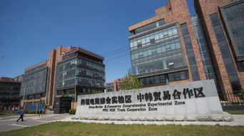 辽宁大连电子商务专业