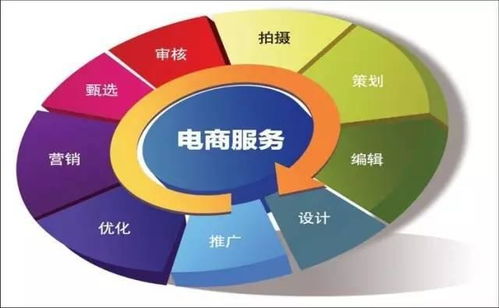 电子商务专业是那个系的