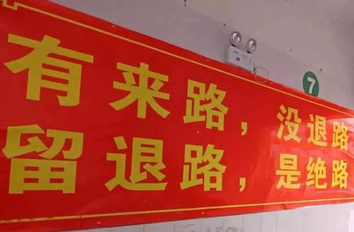 男生高考672分，农贸市场奖10万——励志与奖励的双重胜利