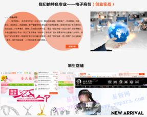 电子商务和专业技术服务